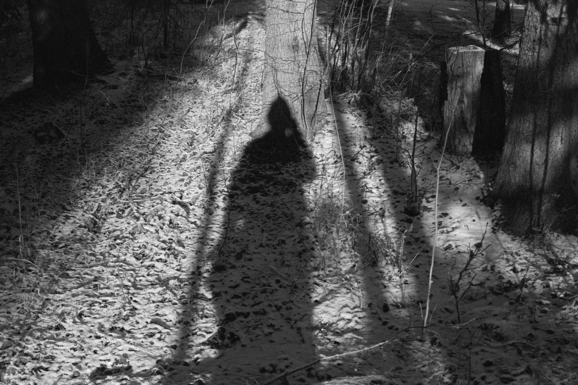 Shadow selfie, March 2026
